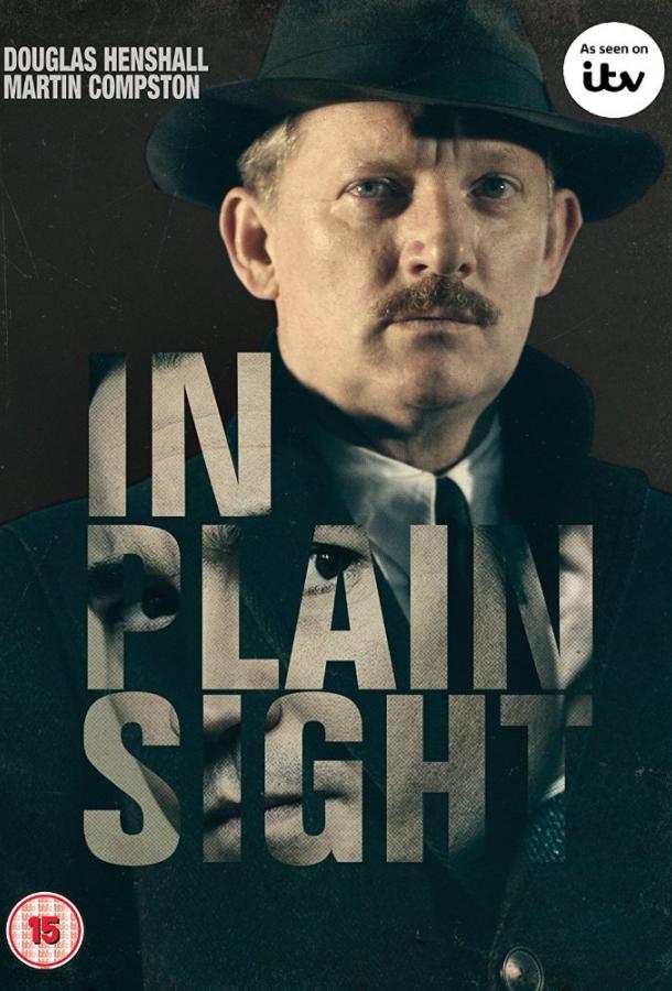 На виду / In Plain Sight (2016) 