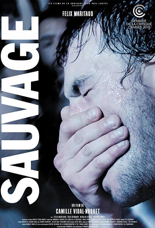 Дикий / Sauvage (2018) 