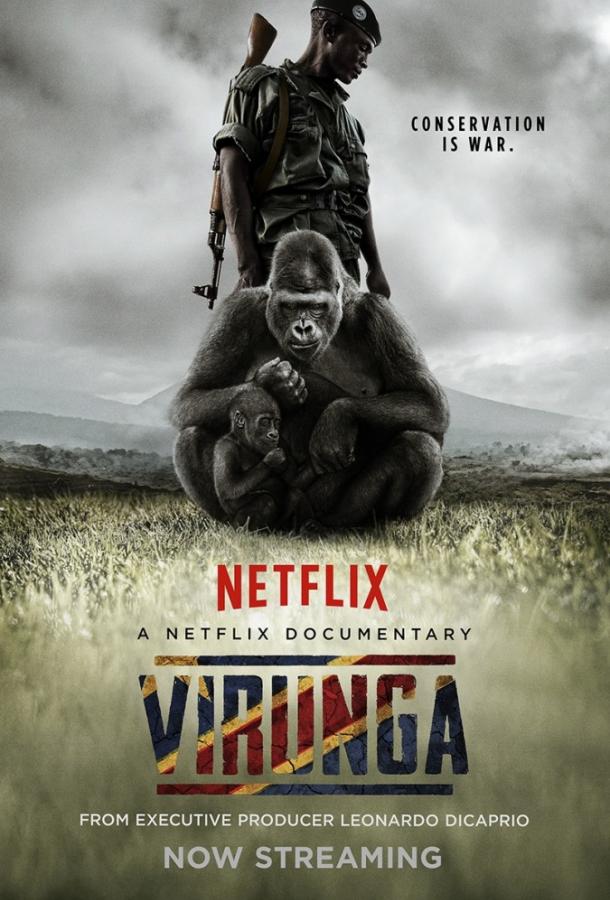 Вирунга / Virunga (2014) 