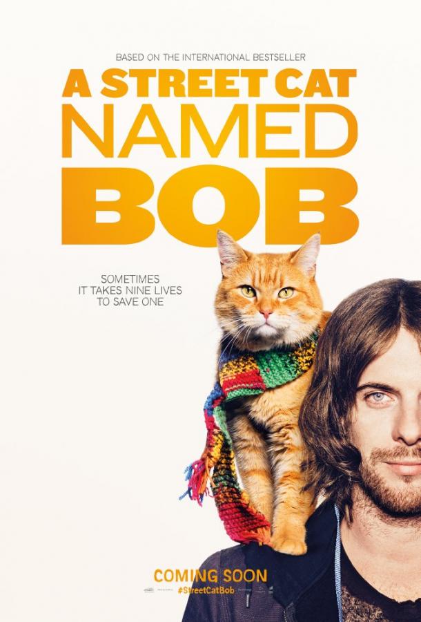 Уличный кот по кличке Боб / A Street Cat Named Bob (2016) 