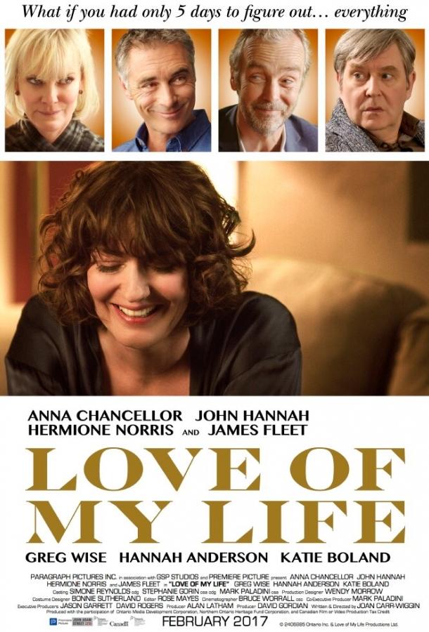 Любовь всей моей жизни / Love of My Life (2017) 