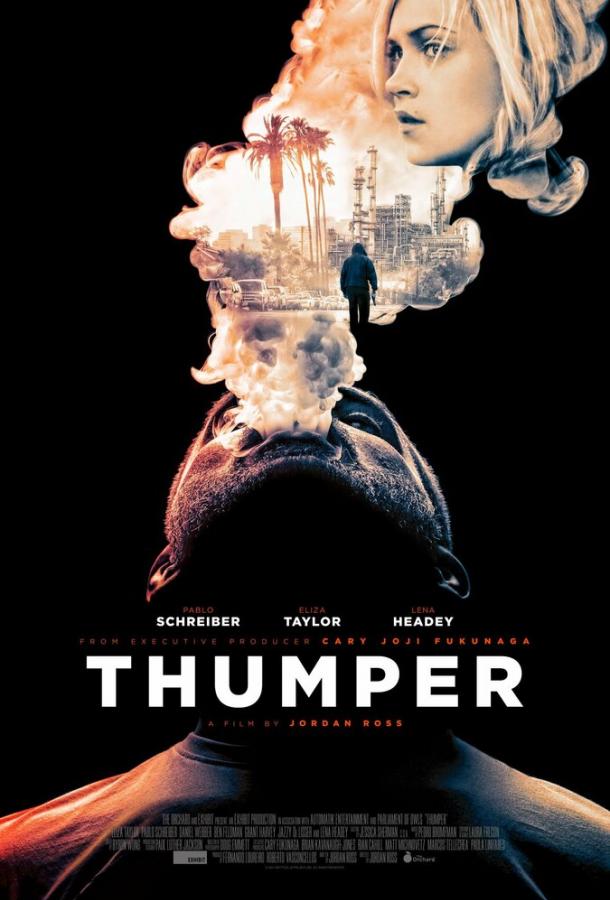 Явная ложь / Thumper (2017) 