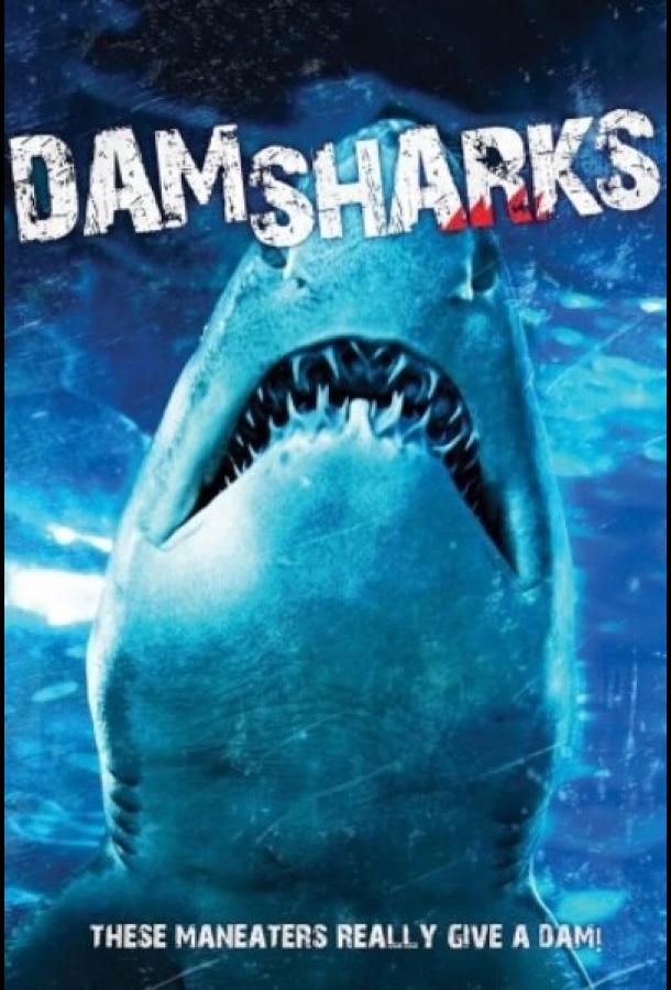 Акульи плотины / Dam Sharks (2016) 