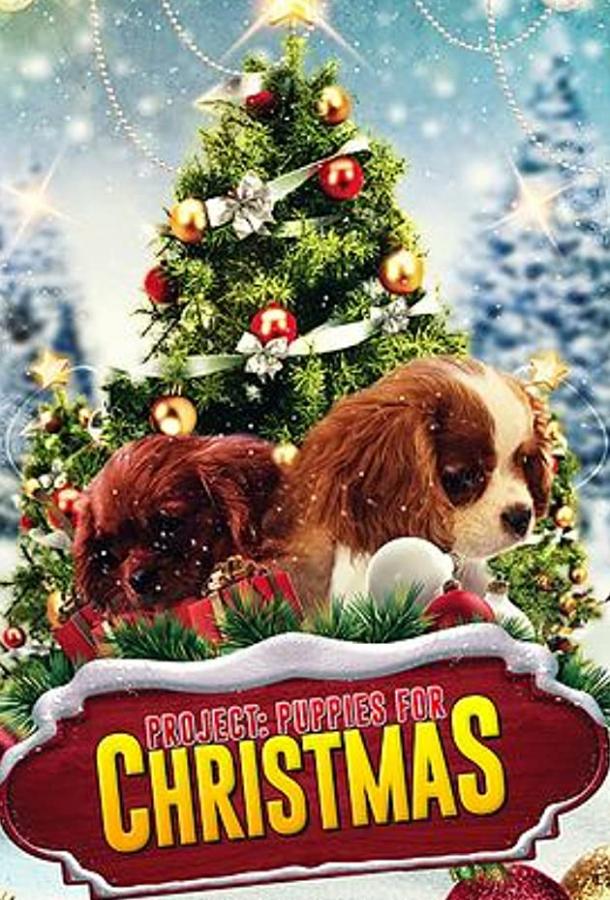 Project: Puppies for Christmas (2019) 